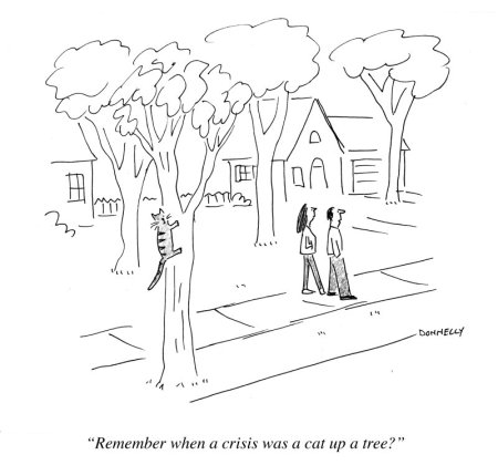 1_crisis-was-a-cat-up-a-tree-copy