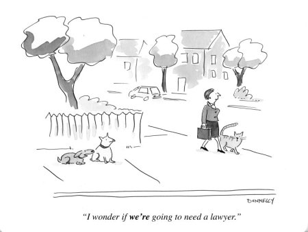 I-wonder-if-we-are-going-to-need-a-lawyer-copy