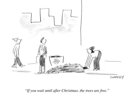 Tree-after-christmas-copy