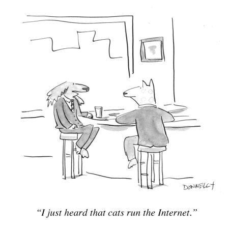 cats-run-the-internet