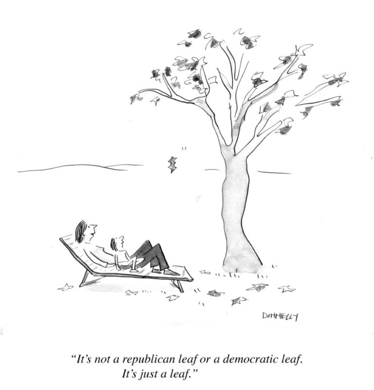 not-everything-is-political-liza-donnelly-new-yorker-cartoonist